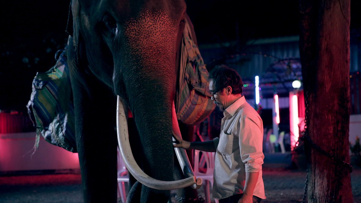 Pop Aye, reż. Kirsten Tan, Tajlandia, Singapur 2017