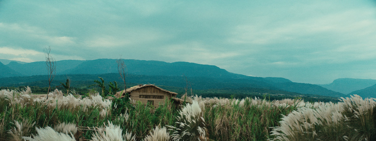 Roid, dir. Mejbaur Rahman Sumon